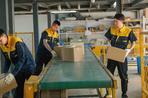 馬云預言 后疫情時代，家政服務或成新財富風口